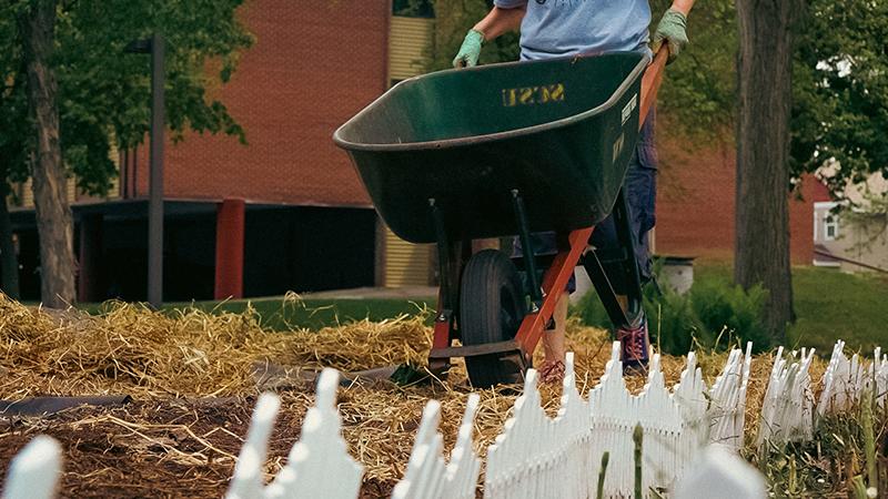 Wheel barrow in community garden